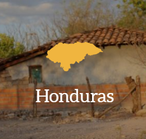 Honduras Box Icon