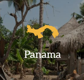 Panama Box Icon