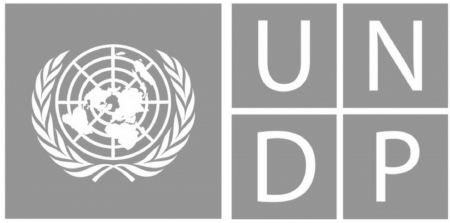 UNDP