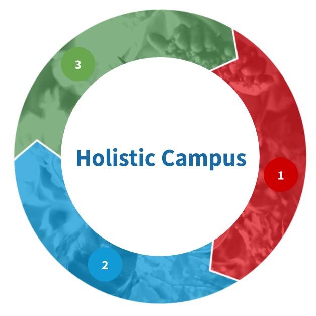 A holistic campus is one who has institutionalized the Global Brigades (GB) mission, vision, values and programming  on their campus by fostering a culture that demonstrates how each chapter’s cumulative work drives a holistic model of development to eradicate poverty in our community partners. This campus has the following 3 components: (1) A Campus Chairperson, (2) Holistic Chapter Presence, (3) Celebrates #GB365.
